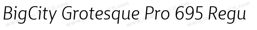 BigCity Grotesque Pro 695 Regular字体转换